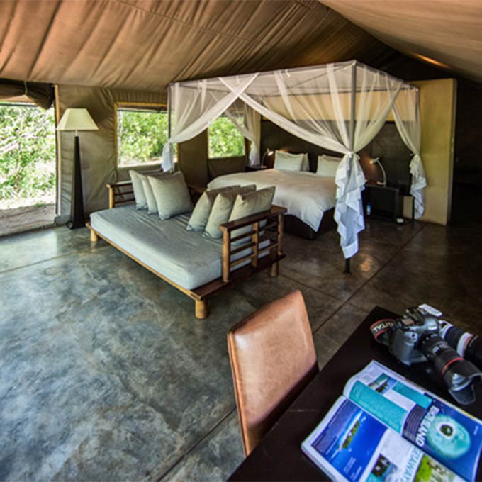 View Honeyguide Tented Camp in Manyeleti Game Reserve