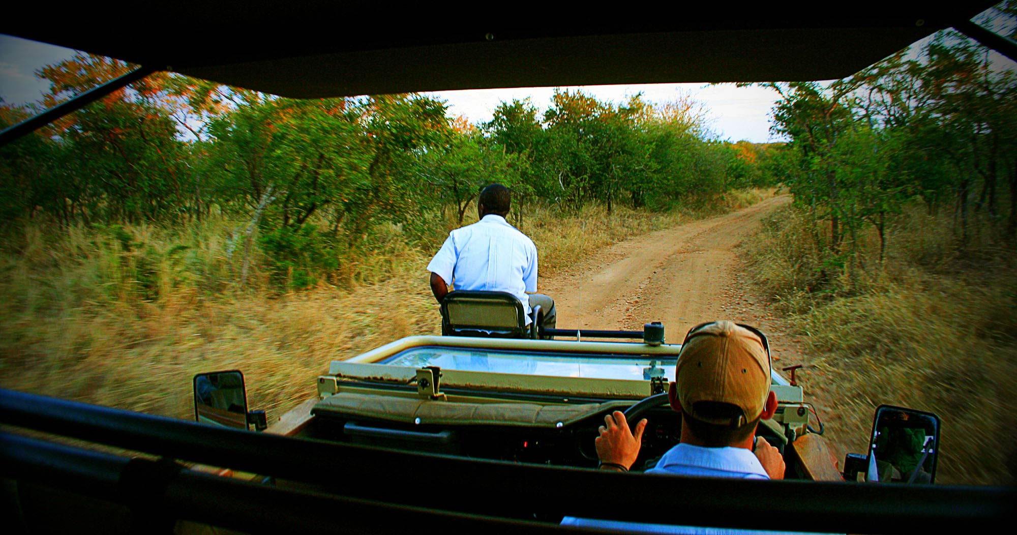 Manyeleti Private Game Reserve safari